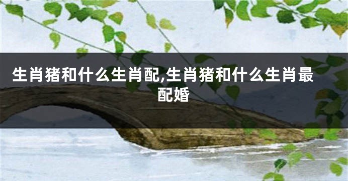 生肖猪和什么生肖配,生肖猪和什么生肖最配婚