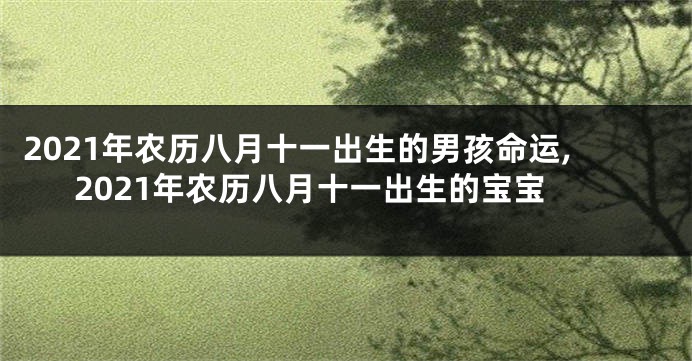 2021年农历八月十一出生的男孩命运,2021年农历八月十一出生的宝宝
