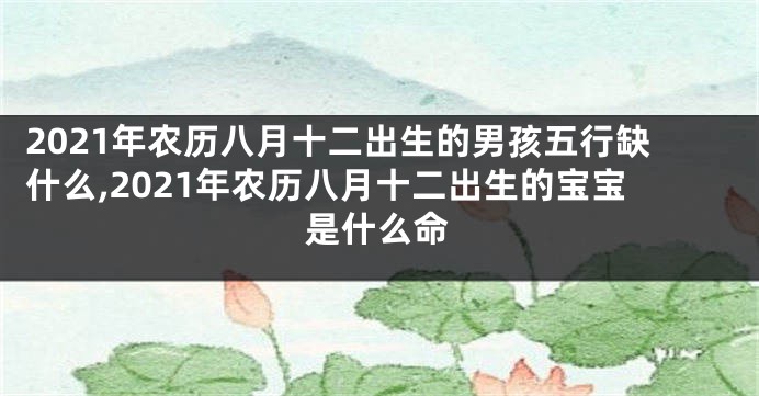 2021年农历八月十二出生的男孩五行缺什么,2021年农历八月十二出生的宝宝是什么命
