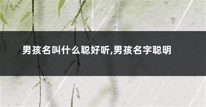 男孩名叫什么聪好听,男孩名字聪明