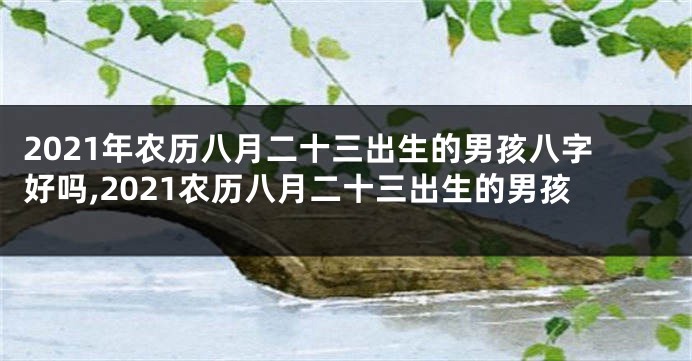 2021年农历八月二十三出生的男孩八字好吗,2021农历八月二十三出生的男孩
