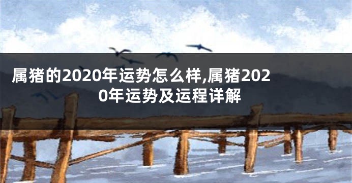 属猪的2020年运势怎么样,属猪2020年运势及运程详解