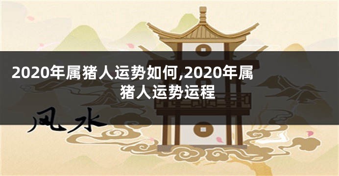 2020年属猪人运势如何,2020年属猪人运势运程