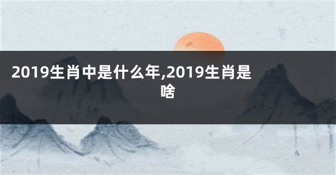2019生肖中是什么年,2019生肖是啥