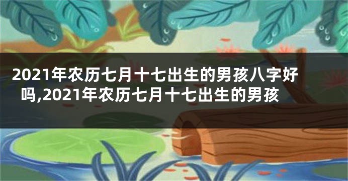 2021年农历七月十七出生的男孩八字好吗,2021年农历七月十七出生的男孩