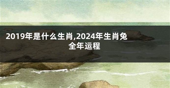 2019年是什么生肖,2024年生肖兔全年运程