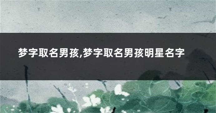 梦字取名男孩,梦字取名男孩明星名字
