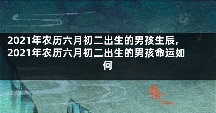 2021年农历六月初二出生的男孩生辰,2021年农历六月初二出生的男孩命运如何