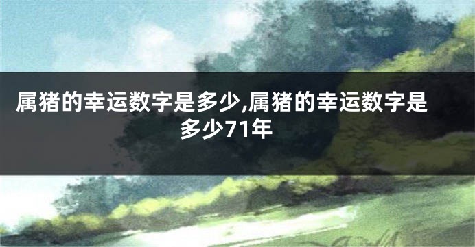 属猪的幸运数字是多少,属猪的幸运数字是多少71年