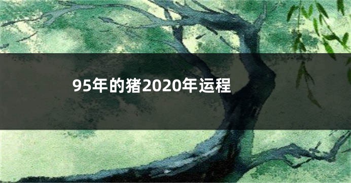 95年的猪2020年运程