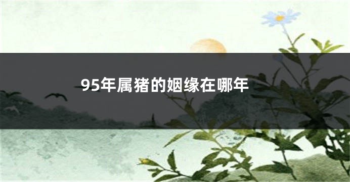 95年属猪的姻缘在哪年