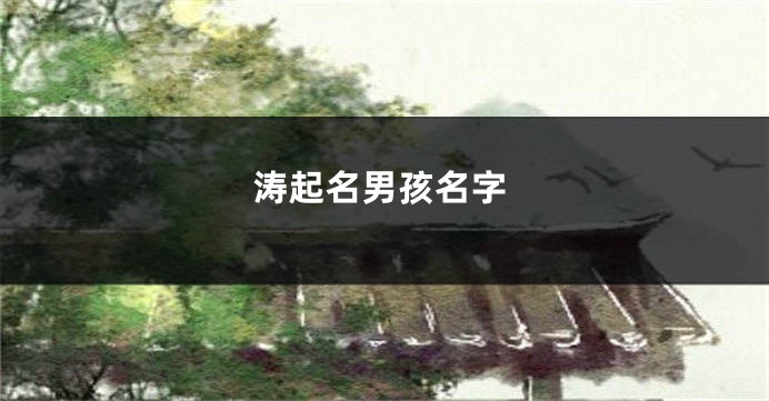 涛起名男孩名字