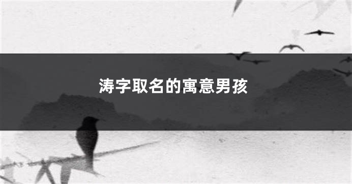 涛字取名的寓意男孩