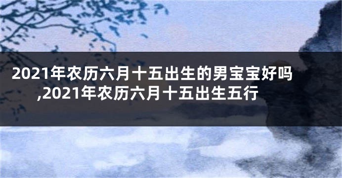 2021年农历六月十五出生的男宝宝好吗,2021年农历六月十五出生五行
