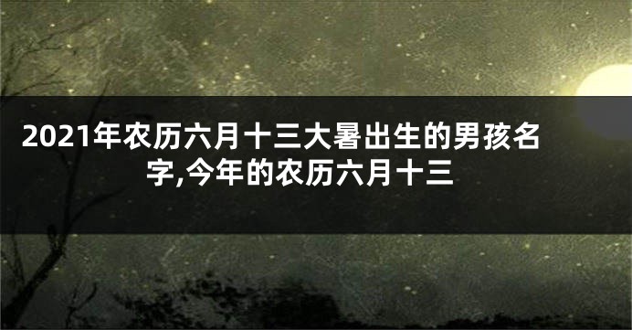 2021年农历六月十三大暑出生的男孩名字,今年的农历六月十三