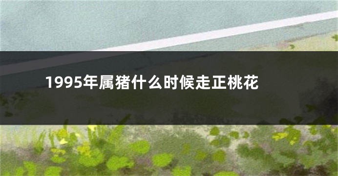 1995年属猪什么时候走正桃花