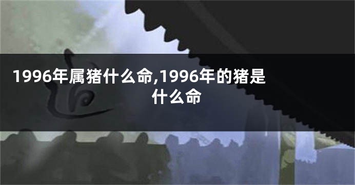 1996年属猪什么命,1996年的猪是什么命