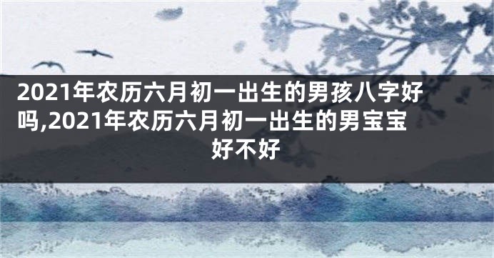 2021年农历六月初一出生的男孩八字好吗,2021年农历六月初一出生的男宝宝好不好