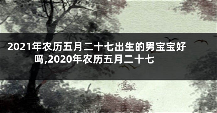 2021年农历五月二十七出生的男宝宝好吗,2020年农历五月二十七