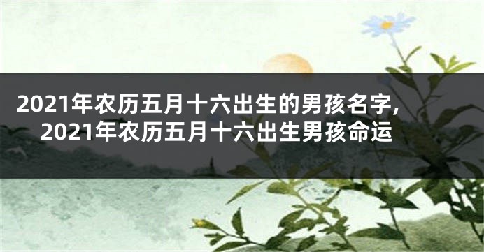 2021年农历五月十六出生的男孩名字,2021年农历五月十六出生男孩命运