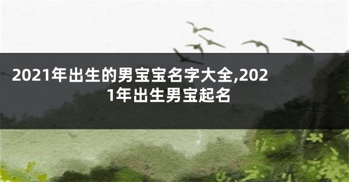 2021年出生的男宝宝名字大全,2021年出生男宝起名