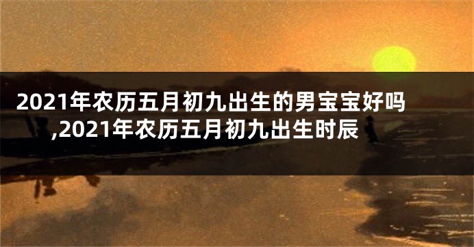 2021年农历五月初九出生的男宝宝好吗,2021年农历五月初九出生时辰