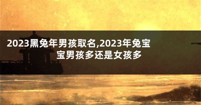 2023黑兔年男孩取名,2023年兔宝宝男孩多还是女孩多
