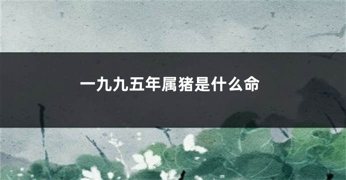 一九九五年属猪是什么命