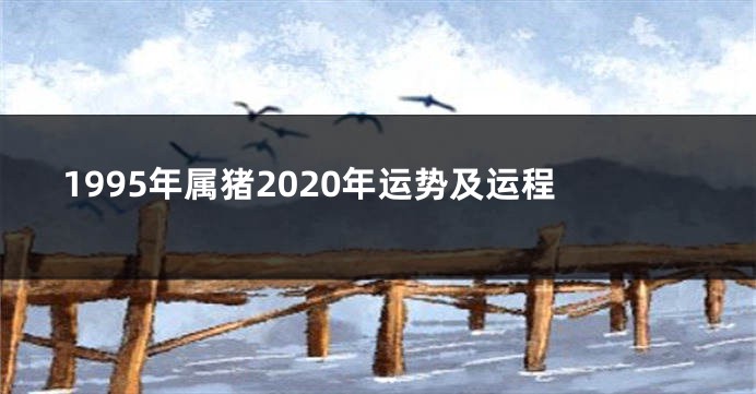 1995年属猪2020年运势及运程