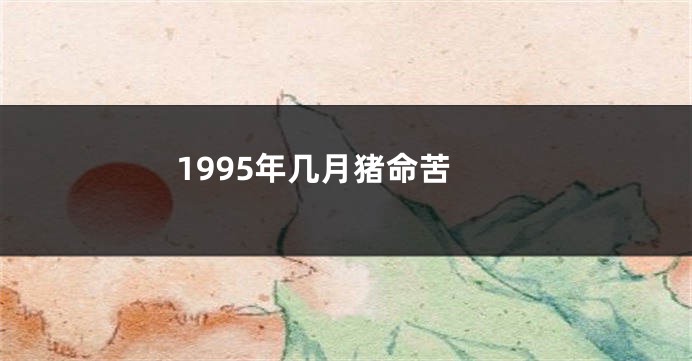 1995年几月猪命苦