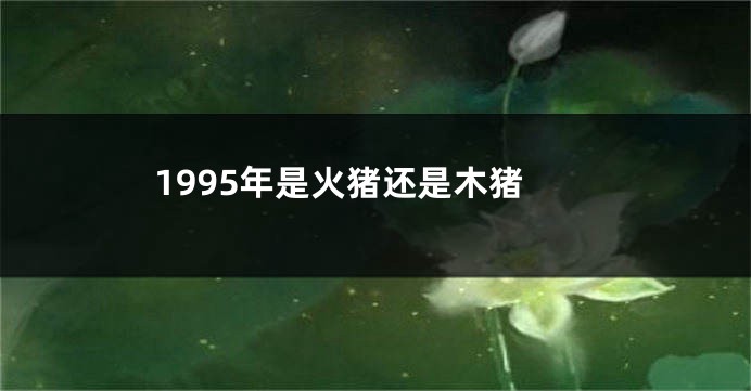 1995年是火猪还是木猪