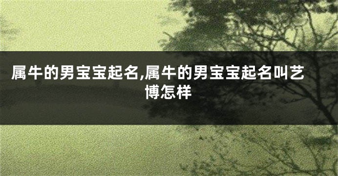 属牛的男宝宝起名,属牛的男宝宝起名叫艺博怎样