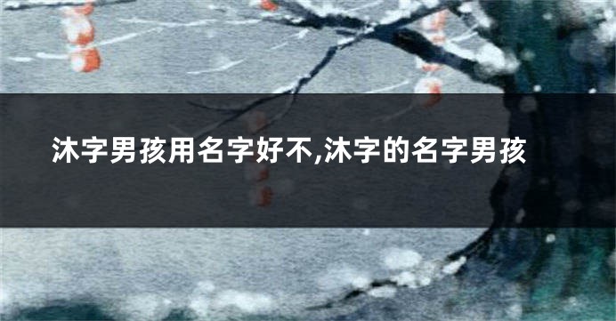 沐字男孩用名字好不,沐字的名字男孩