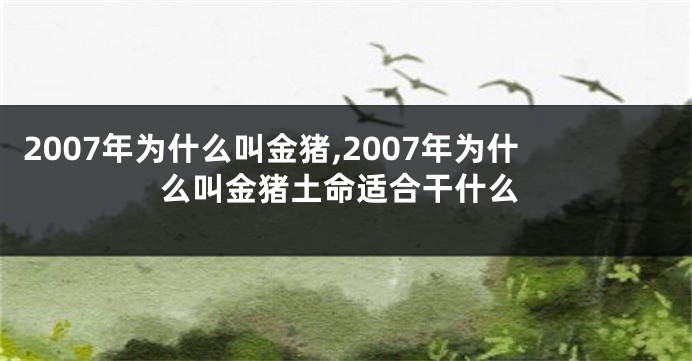 2007年为什么叫金猪,2007年为什么叫金猪土命适合干什么