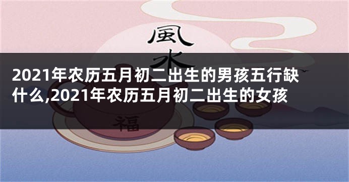 2021年农历五月初二出生的男孩五行缺什么,2021年农历五月初二出生的女孩