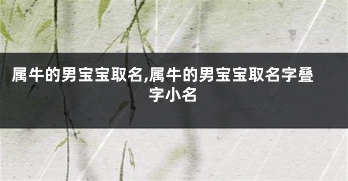 属牛的男宝宝取名,属牛的男宝宝取名字叠字小名