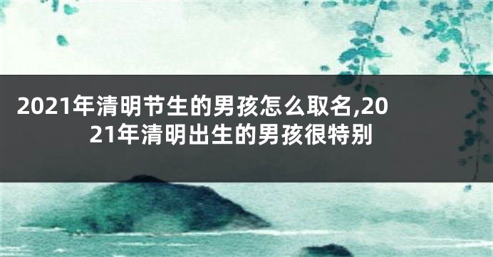 2021年清明节生的男孩怎么取名,2021年清明出生的男孩很特别