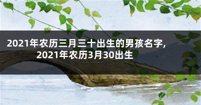 2021年农历三月三十出生的男孩名字,2021年农历3月30出生