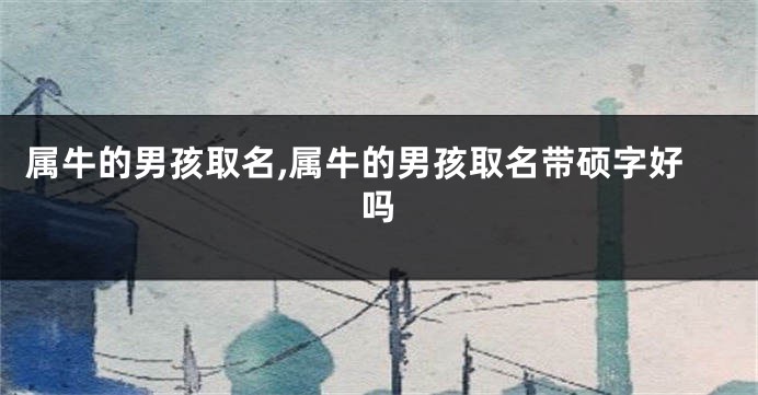 属牛的男孩取名,属牛的男孩取名带硕字好吗