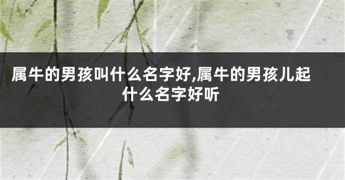 属牛的男孩叫什么名字好,属牛的男孩儿起什么名字好听