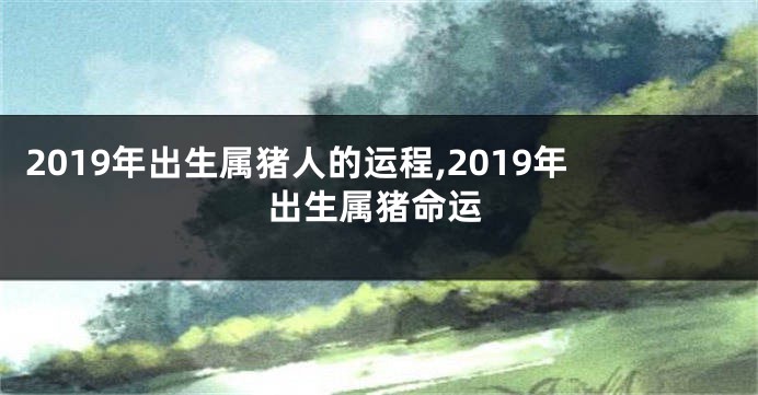 2019年出生属猪人的运程,2019年出生属猪命运