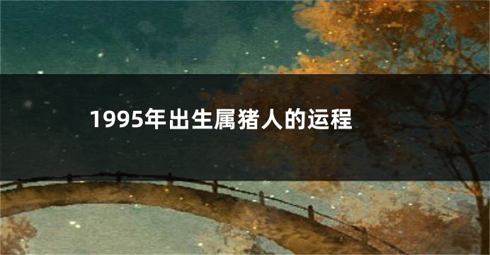 1995年出生属猪人的运程