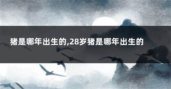 猪是哪年出生的,28岁猪是哪年出生的