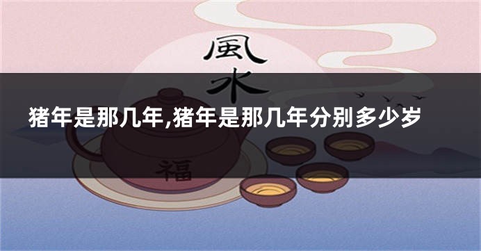 猪年是那几年,猪年是那几年分别多少岁