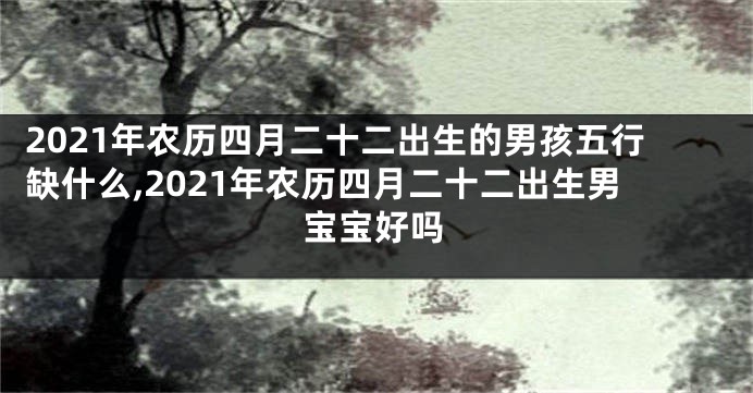 2021年农历四月二十二出生的男孩五行缺什么,2021年农历四月二十二出生男宝宝好吗