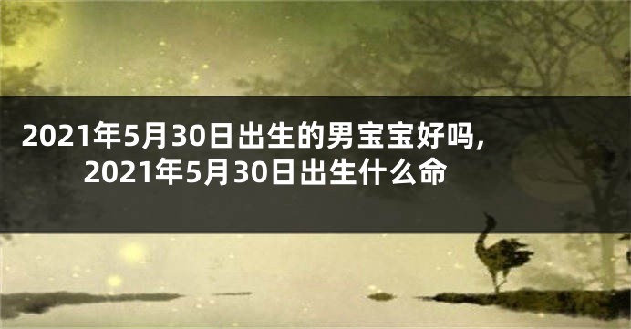 2021年5月30日出生的男宝宝好吗,2021年5月30日出生什么命