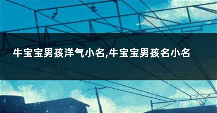 牛宝宝男孩洋气小名,牛宝宝男孩名小名
