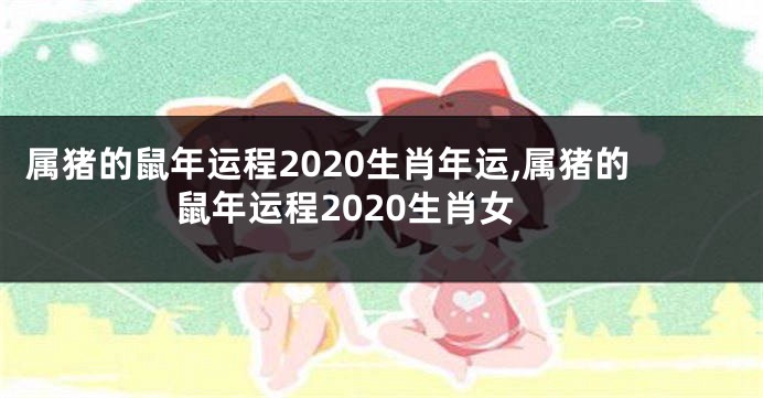 属猪的鼠年运程2020生肖年运,属猪的鼠年运程2020生肖女