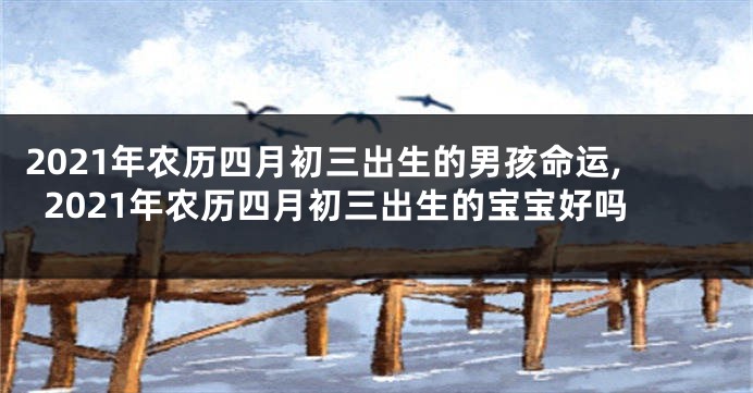 2021年农历四月初三出生的男孩命运,2021年农历四月初三出生的宝宝好吗