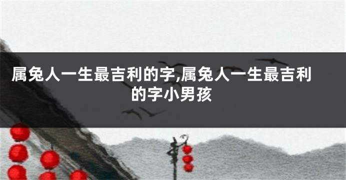 属兔人一生最吉利的字,属兔人一生最吉利的字小男孩